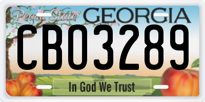 GA license plate CBO3289
