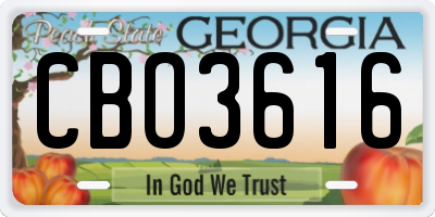 GA license plate CBO3616