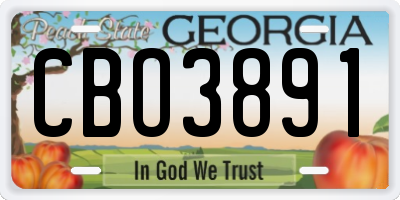 GA license plate CBO3891