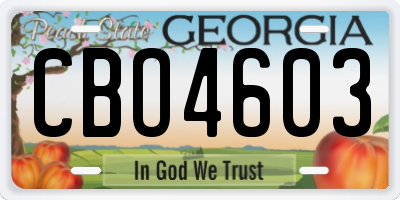 GA license plate CBO4603