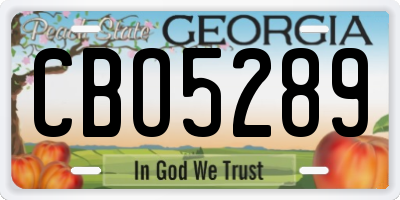 GA license plate CBO5289