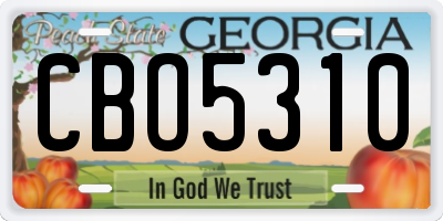 GA license plate CBO5310