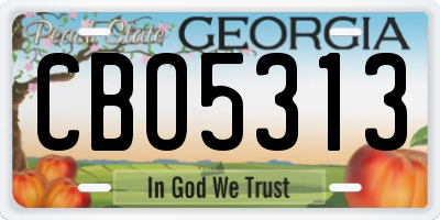 GA license plate CBO5313