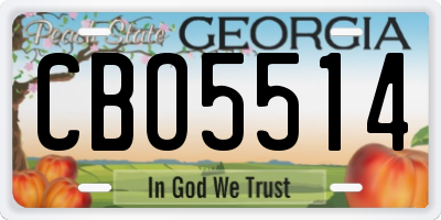 GA license plate CBO5514