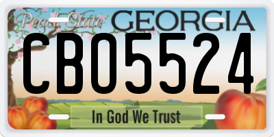 GA license plate CBO5524