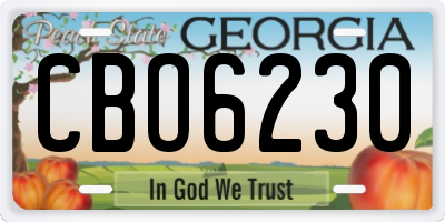 GA license plate CBO6230