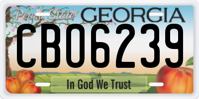 GA license plate CBO6239