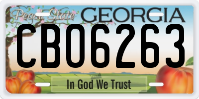 GA license plate CBO6263