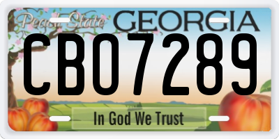 GA license plate CBO7289