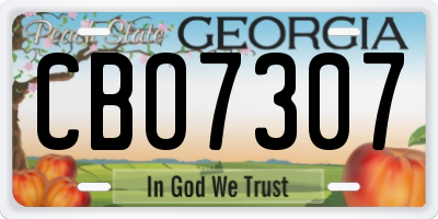 GA license plate CBO7307