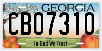 GA license plate CBO7310