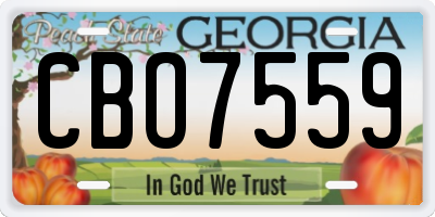 GA license plate CBO7559