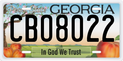 GA license plate CBO8022