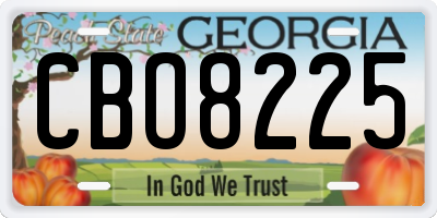 GA license plate CBO8225