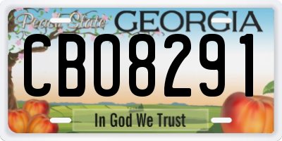 GA license plate CBO8291