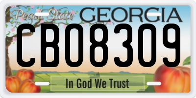 GA license plate CBO8309