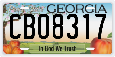 GA license plate CBO8317