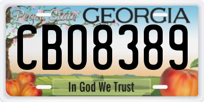 GA license plate CBO8389