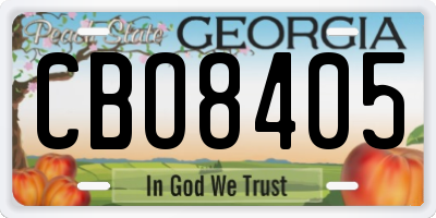 GA license plate CBO8405
