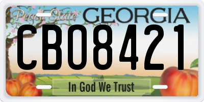 GA license plate CBO8421