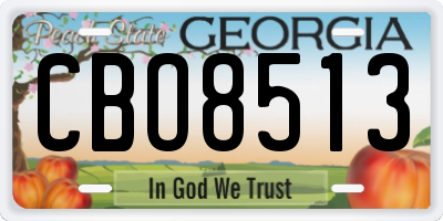 GA license plate CBO8513