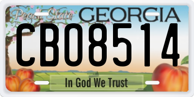 GA license plate CBO8514