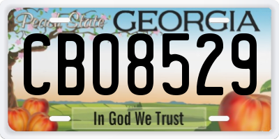 GA license plate CBO8529