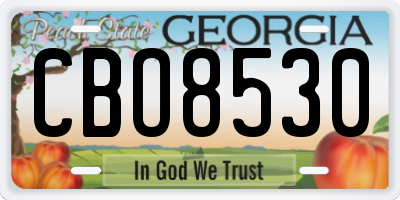 GA license plate CBO8530