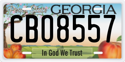 GA license plate CBO8557
