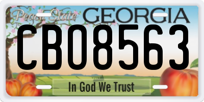 GA license plate CBO8563