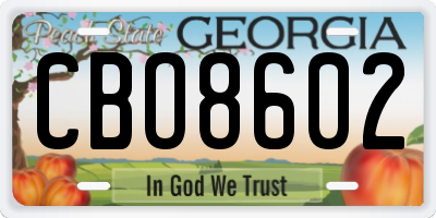 GA license plate CBO8602