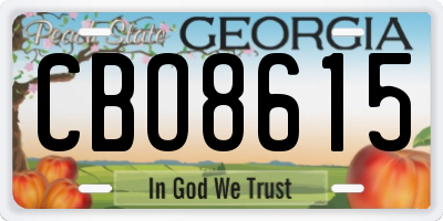 GA license plate CBO8615