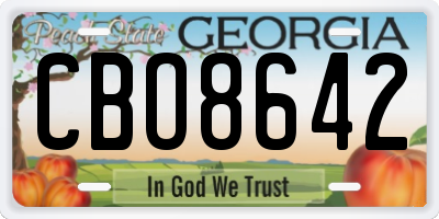 GA license plate CBO8642