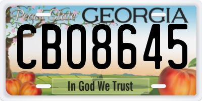 GA license plate CBO8645