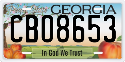 GA license plate CBO8653