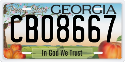 GA license plate CBO8667