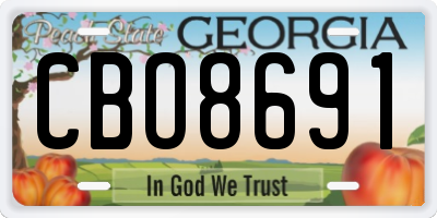 GA license plate CBO8691