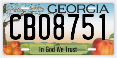 GA license plate CBO8751
