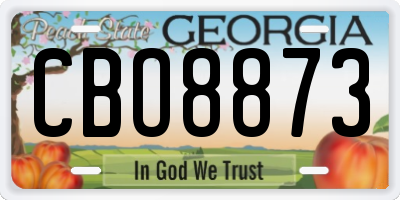 GA license plate CBO8873
