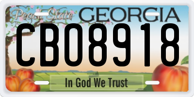 GA license plate CBO8918