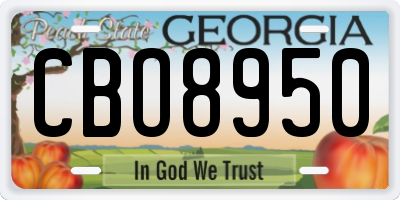 GA license plate CBO8950