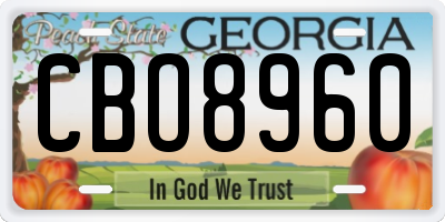 GA license plate CBO8960