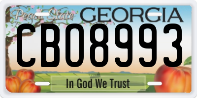 GA license plate CBO8993
