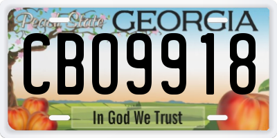 GA license plate CBO9918