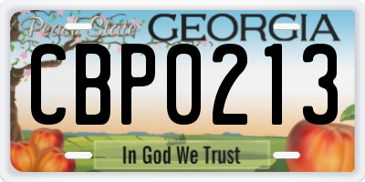 GA license plate CBP0213