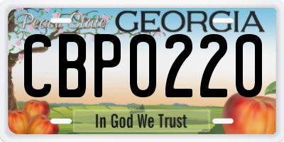 GA license plate CBP0220