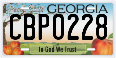 GA license plate CBP0228