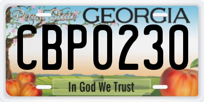 GA license plate CBP0230