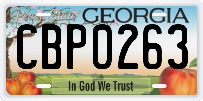 GA license plate CBP0263