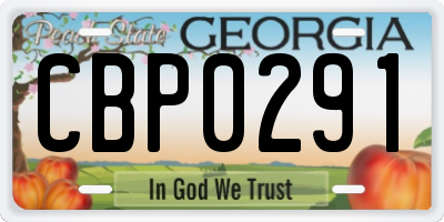GA license plate CBP0291
